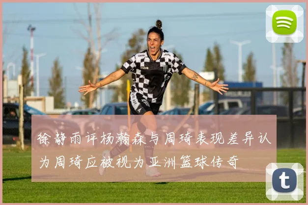 徐静雨评杨瀚森与周琦表现差异认为周琦应被视为亚洲篮球传奇