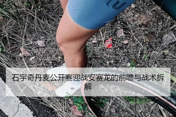 石宇奇丹麦公开赛迎战安赛龙的前瞻与战术拆解